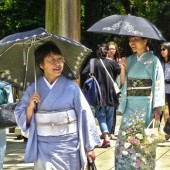 Tour thu & đông giá siêu tốt chỉ có tại FEEL JAPAN